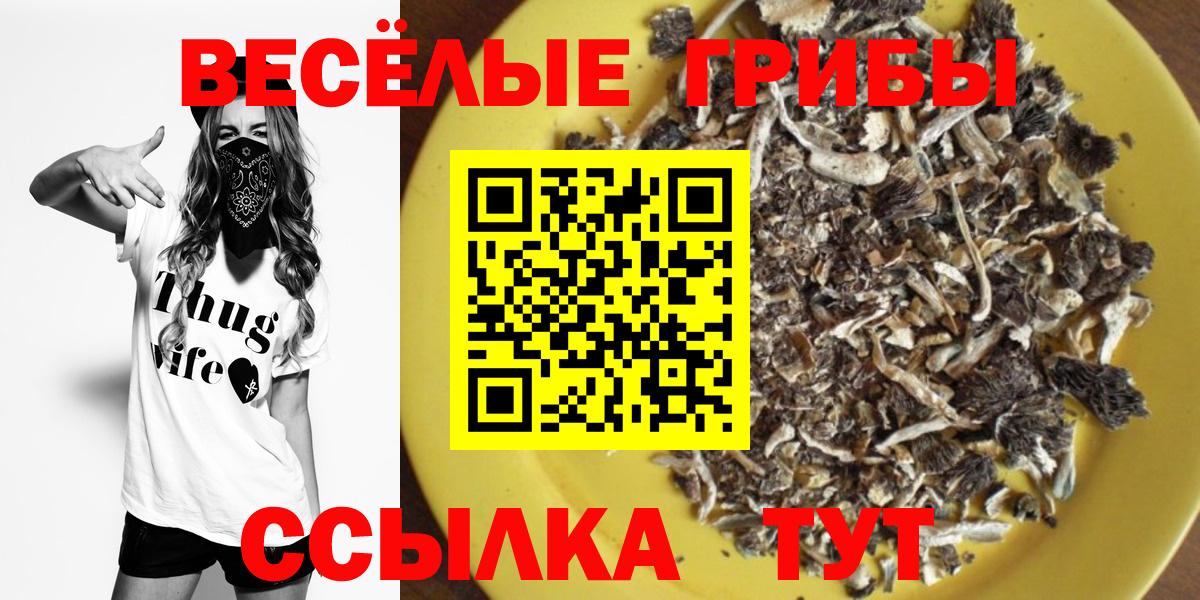 Псилоцибиновые грибы Psilocybe  Вход с VPN  Лысьва 